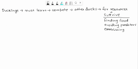 a-mother-duck-gives-birth-to-nine-new-ducklings-the-mother-duck-introduces-her-baby-ducklings-to-the-pond-after-their-birth-the-pond-is-filled-with-ducks-what-must-the-ducklings-learn-to-do-70455
