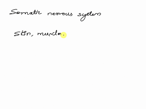 what-division-of-the-peripheral-nervous-system-controls-voluntary-movement-like-exercise-29533