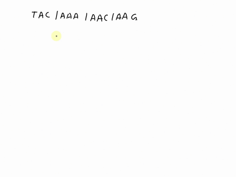 if-you-are-given-the-following-sequence-what-is-the-complementary-dna-strand-tacaaaaacaag-01752
