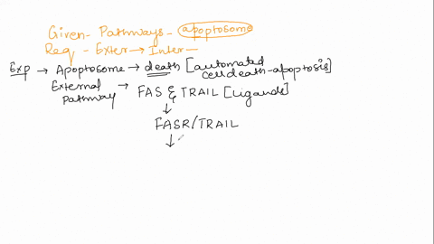 how-does-the-extrinsic-apoptotic-pathway-induce-the-intrinsic-apoptotic-pathway-to-answer-this-question-please-describe-the-sequence-of-events-beginning-with-the-mode-of-activation-of-the-ex-27506