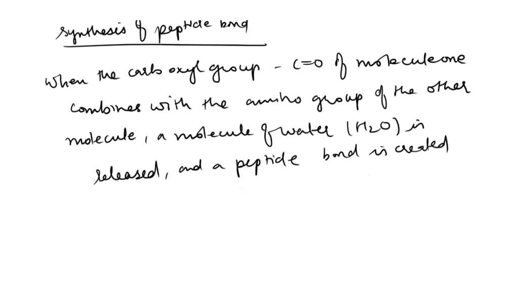 SOLVED: The two amino acids animated above are joined together by a ...