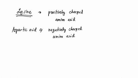 suppose-that-in-a-given-protein-one-lysine-is-replaced-by-aspartic-acid-does-this-charge-occur-in-the-primary-structure-or-in-the-secondary-structure-how-might-it-result-in-a-change-in-terti-42515