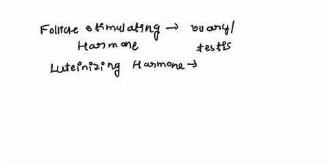 in-a-time-crunch-will-rate-immediately-drag-and-drop-each-of-the-following-hormones-so-that-it-lines-up-with-its-target-tissue-drag-the-appropriate-items-to-their-respective-bins-view-availa-28084