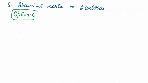 question-5-1-point-the-abdominal-aorta-bifurcates-into-these-2-arteries-at-the-level-of-l4-a-external-iliac-arteries-b-common-carotid-arteries-common-iliac-arteries-d-common-hepatic-arteries-09812