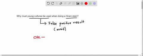 why-must-young-cultures-be-used-when-doing-a-gram-stain-46757