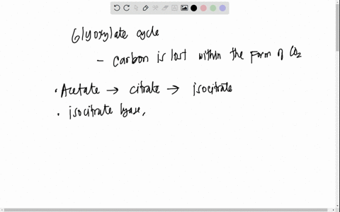 compare-the-steps-between-glyoxylate-cycle-and-the-citric-acid-cycle-99182