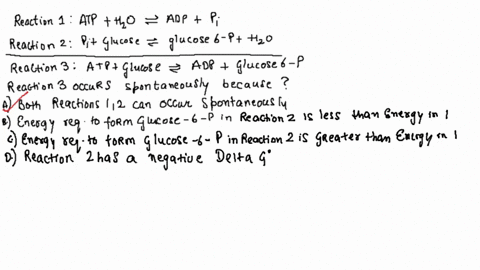 the-reaction-catalyzed-by-the-enzyme-hexokinase-reaction-3-below-can-be-thought-of-as-the-sum-of-reactions-1-and-2reaction-1-is-the-breakdown-of-atp-to-adp-which-releases-energy-reaction-2in-97996