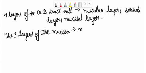 1what-are-the-four-layers-of-the-gi-tract-wall-2what-are-the-3-layers-of-the-mucosa-3what-are-the-two-types-of-eplthellal-tissue-along-the-digestive-tract-and-in-which-organs-are-they-found-12068