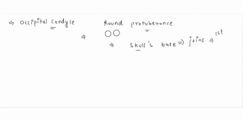 1-what-is-the-significance-of-the-occipital-condyles-they-articulate-with-the-zygomatic-bone-to-form-a-support-structure-for-the-cheek-they-provide-a-bony-support-structure-for-the-pituitary-33454