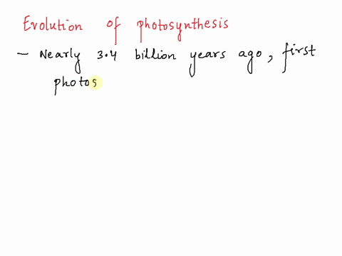 in-which-of-the-following-organisms-did-photosynthesis-most-likely-first-evolve-a-algae-b-plants-c4-plants-prokaryotes-16308