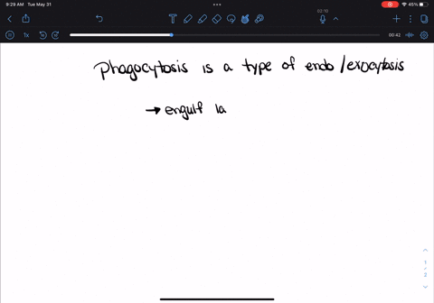 phagocytosis-is-an-example-of-which-of-the-following-process-a-exocytosis-b-diffusion-c-active-transport-d-passive-transport-10702