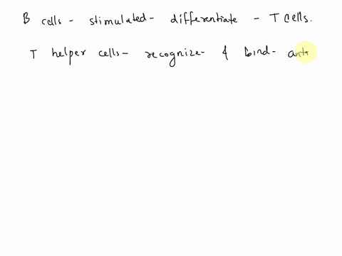 b-cells-interacting-with-helper-t-cells-are-stimulated-to-differentiate-when-________-a-helper-t-cells-release-cytokines-b-b-cells-produce-ige-antibodies-c-cytotoxic-t-cells-present-the-clas-46983
