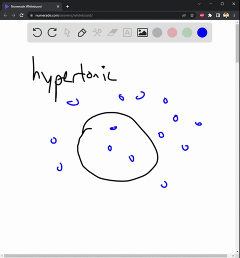 1-cell-a-has-a-membrane-that-is-permeable-to-water-and-urea-but-not-to-nacl-it-is-placed-into-solution-b-which-way-will-the-net-movement-of-water-be-at-equilibrium-it-the-solution-hypertonic-78587