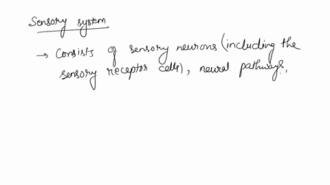 the-sensory-system-is-involved-in-all-the-following-except-a-initiation-of-reflex-movementsb-initiation-of-voluntary-movementsc-learning-processesd-initiation-of-emotional-responses-34725