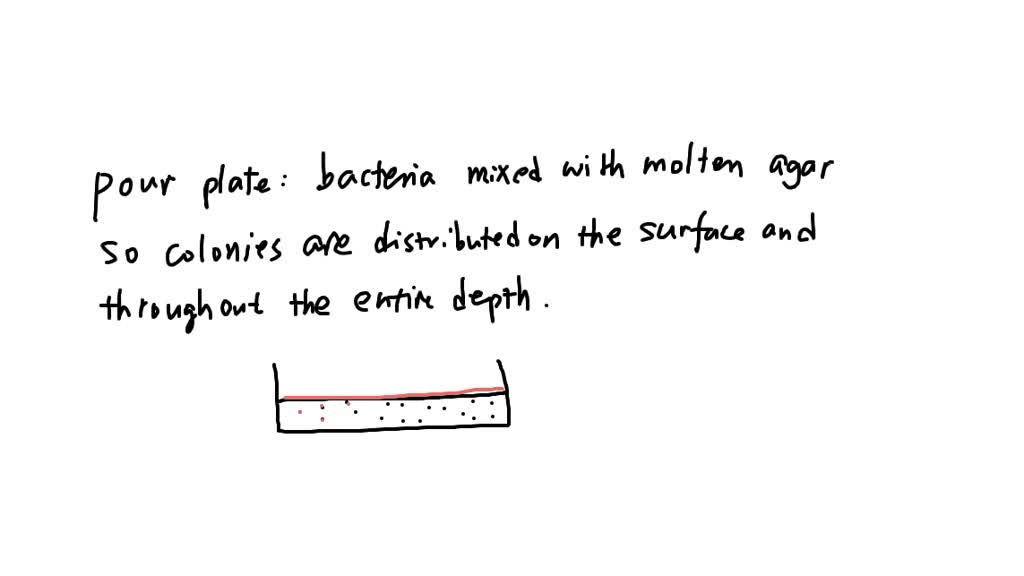 SOLVED what different between pour plate and spread plate technique