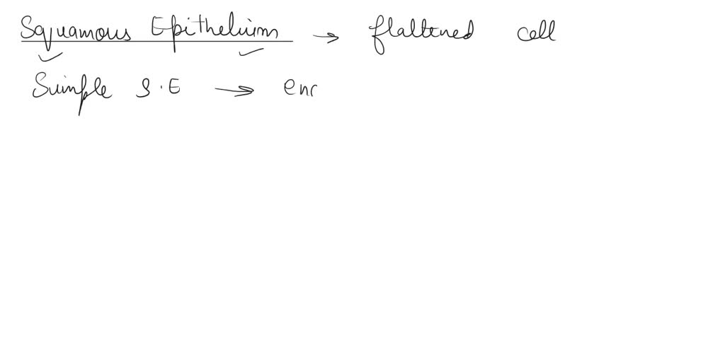 SOLVED: Types of epithelial tissues Distinctive Characteristics Type ...