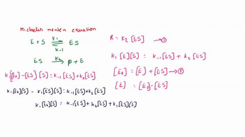 derive-the-michaelis-menten-equation-using-the-rapid-equilibrium-assumption-show-all-work-22517
