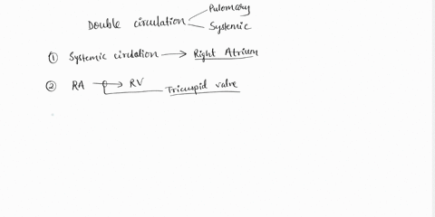 complete-each-sentenceand-then-place-them-in-the-correct-order-to-describe-blood-flow-through-the-heart-beginning-with-blood-entering-the-right-side-of-the-heart-pulmonary-valve-left-atrium-43273
