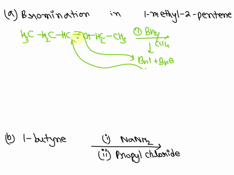 predict-the-products-of-the-following-reactions-a-bromination-br2-in-ccl4-of-2-methyl-1-pentene-b-1-butyne-first-reacts-with-nanh2-then-the-product-formed-in-the-first-step-reacts-with-propy-91719