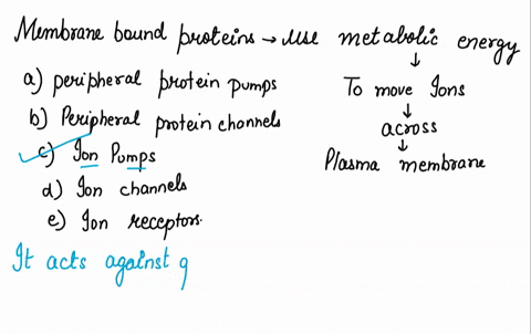 membrane-bound-proteins-that-use-metabolic-energy-to-move-ions-across-the-plasma-membrane-are-called-36696