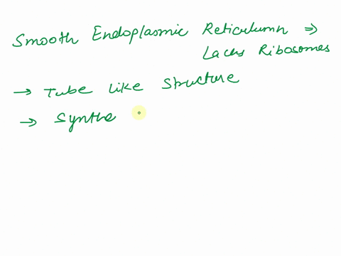 what-is-one-role-of-the-smooth-endoplasmic-reticulum-51366