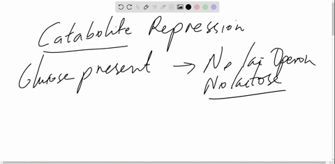 what-is-catabolite-repression-how-does-it-allow-a-bacterial-cell-to-use-glucose-in-preference-to-other-sugars-explain-using-the-lac-operon-as-an-example-10-marks-60327