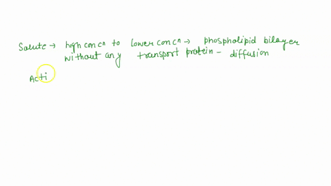 if-a-solute-is-moving-through-a-phospholipid-bilayer-from-an-area-of-higher-concentration-to-an-area-of-lower-concentration-without-the-assistance-of-a-protein-the-manner-of-transport-must-b-77971