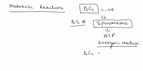 which-of-the-following-statements-concerning-metabolic-reactions-is-true-a-exergonic-reactions-release-energybut-still-possess-an-energy-of-activation-bcatabolicreactions-areendergonic-canab-41564