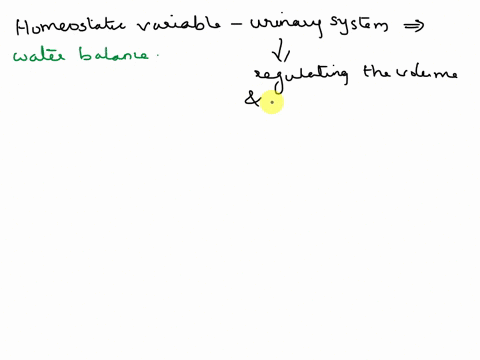 which-of-these-homeostatic-variables-is-most-closely-associated-with-the-function-of-the-urinary-system-oxygen-stores-available-to-skeletal-muscle-b-immune-protection-water-balance-dblood-su-94892