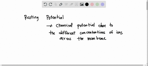 which-of-the-following-does-not-contribute-to-the-resting-potential-of-a-neuron-a-sodium-potassium-2-65807
