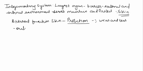 which-of-the-following-is-not-a-function-of-the-integumentary-system-a-protection-b-thermoregulation-c-blood-cell-production-d-cutaneous-sensation-e-vitamin-d-synthesis-30903