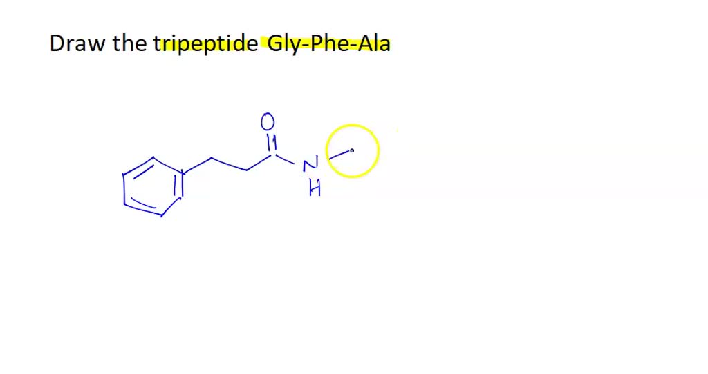 Draw the tripeptide Gly-Phe-Ala.