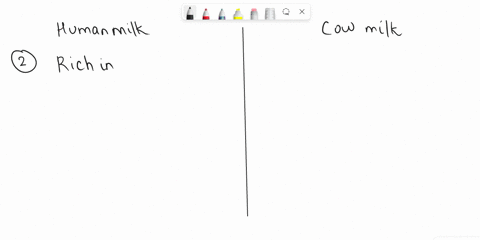 what-is-the-difference-between-human-and-cow-milk-which-one-has-more-protein-lipid-or-lactose-which-one-is-better-for-humans-69801