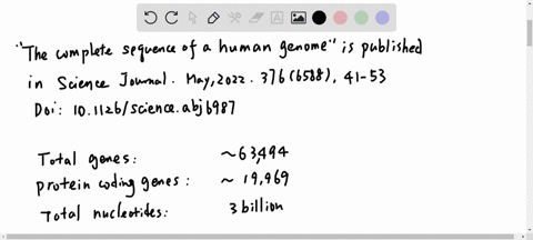 approximately-how-many-genes-are-there-in-the-human-genome