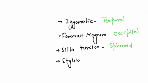46-15-match-the-feature-to-its-bone-if-it-belongs-to-ethmold-mark-a-sphenoid-mark-b-temporal-mark-c-occipital-mark-d-6-zygomatic-process-7-foramen-magnum-8-sella-turcica-9-styloid-process-10-mandibula