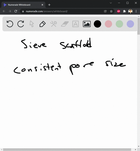 3-3-points-total-you-are-using-agarose-gel-electrophoresis-to-visualize-dna-answer-the-following-below-a-1-point_what-property-of-the-gel-is-necessary-for-separating-out-dna-molecules-by-siz-83122