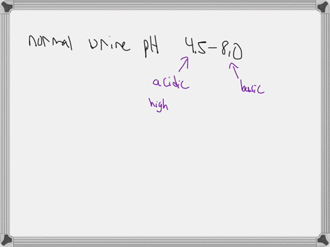 a-patient-ua-reveals-ph-of-101-this-urine-reading-is-qquad-and-correlates-to-a-reduction-in-the-amount-of-qquad-being-removed-via-urine-qquad-mathrmh-mathrmoh-blood-water