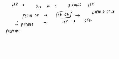 in-an-organism-with-a-diploid-number-of-2n-14-how-many-individual-and-homologous-chromosomal-structures-will-align-on-the-metaphase-plate-during-a-mitosis-b-meiosis-i-and-c-meiosis-ii-descri-79586