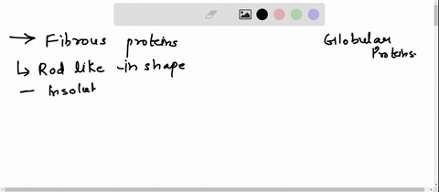 fibrous-proteins-fibrous-and-globular-proteins-globular-proteins-rod-like-in-shape-some-function-as-enzymes-exhibit-primary-protein-structure-somewhat-spherical-in-shape-includes-collagen-po-73512