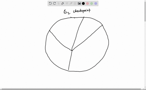 1-using-a-diagram-list-the-cdks-cyclins-complexes-present-at-each-phase-of-the-cell-cycle-on-the-same-diagram-show-the-cell-cycle-checkpoints-98025