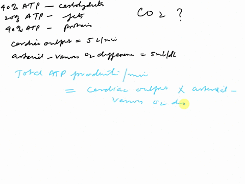 if-an-individual-is-eating-a-diet-in-which-40-of-their-atp-production-is-a-result-of-utilizing-carbohydrates-20-of-their-atp-production-is-a-result-of-metabolizing-fats-40-of-their-atp-produ-74929