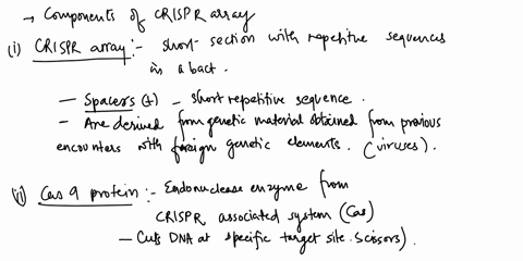 name-the-components-and-the-function-of-each-of-a-crisprcas9-genetic-editing-system-80805