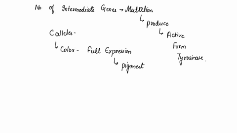 labrador-retrievers-may-be-black-brown-or-golden-in-color-although-each-color-may-breed-true-many-different-outcomes-occur-if-numerous-litters-are-examined-from-a-variety-of-matings-where-th-06898