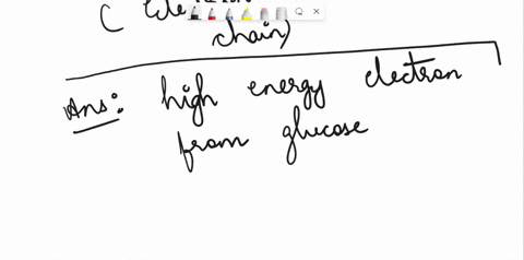 1-what-is-oxidative-phosphorylation-2-thoroughly-describe-the-electron-transport-chain-3-how-is-atp-made-during-oxidative-phosphorylation-69862