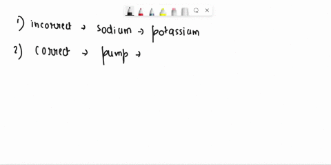 allof-the-following-correctly-describe-the-sodium-potassium-pump-except-atotal-of-five-binding-sites-are-present-in-the-sodlum-potassium-pump-energy-is-required-for-the-process-to-take-place-17633