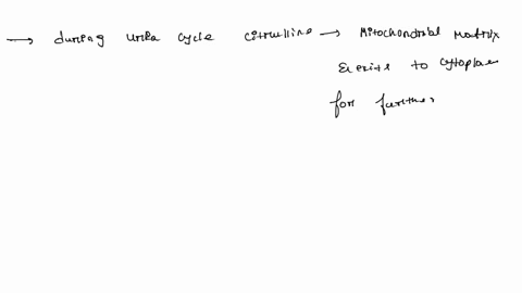 which-statement-is-true-select-one-aduring-urea-cyclecitrulline-is-produced-in-cytoplasmand-exits-to-matrix-for-further-reaction-obduring-urea-cycle-citrulline-is-produced-from-aspartate-in-14318