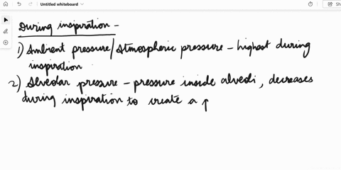 question-1-3-pts-how-do-the-ambient-pressurealveolar-pressureand-intrapleural-pressures-compare-when-you-inspire-o-ambient-alveolar-intrapleural-o-ambientalveolar-intrapleural-ambient-intrap-14096