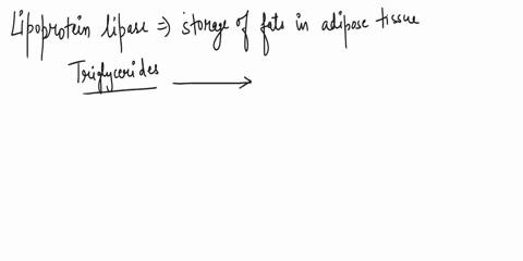 71-which-enzyme-promotes-fat-storage-in-adipose-cells-phospholipase-lipoprotein-lipase-linoleic-acid-adipose-transferase-72-what-percentage-of-individuals-in-the-us-national-weight-control-r-30033