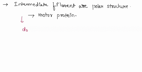 which-statement-about-intermediate-filaments-is-not-true-choose-one-a-they-are-wider-than-actin-filaments-b-they-rupture-under-stress-c-they-lack-polarity-d-they-have-thehighest-tensile-stre-47843