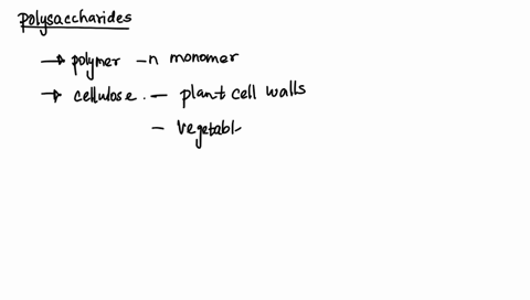 cellulose-is-a-large-polysaccharide-that-contains-roughly-equal-amounts-of-l-glucose-and-d-glucose-true-or-false-01132